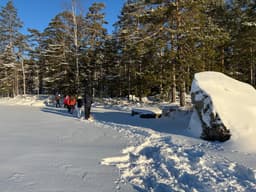 wolftrackingTour Saturday, 11 January 2025