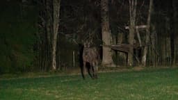 mooseSafari Saturday, 02 May 2026