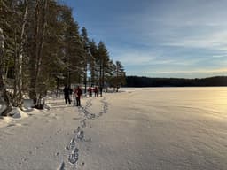 wolftrackingTour Sunday, 12 January 2025