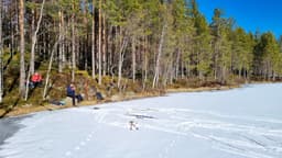 skiTour Sunday, 16 March 2025