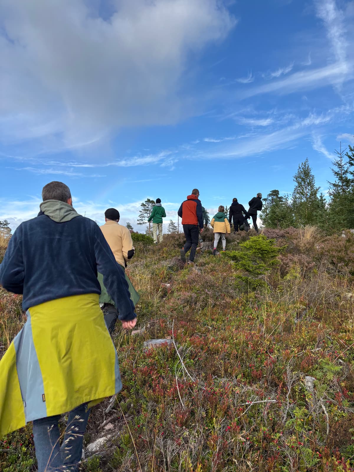 We saw one moose bull really early then had to search a bit but saw a lot in the end!