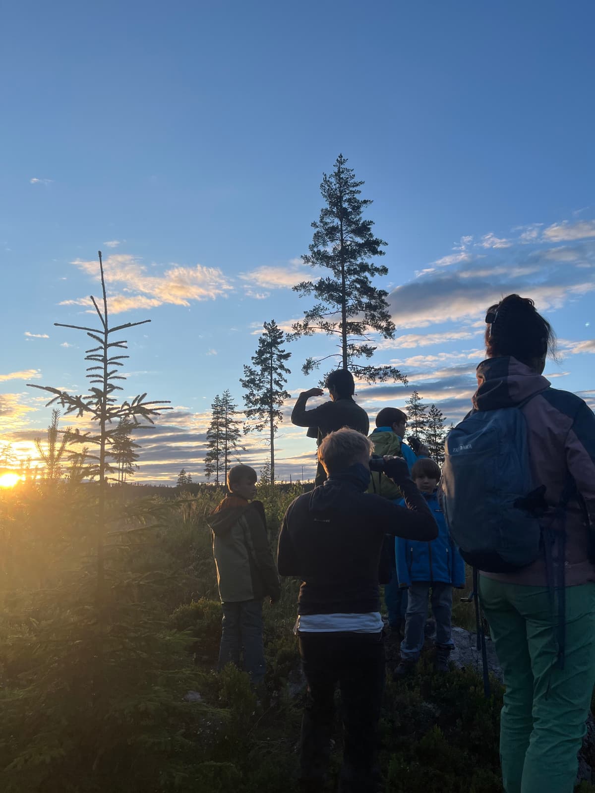 This day we saw one moose breefly short after the picknick. Later we saw a moose far away on a hill. Then later during the night there where three more encounters with the last ones lasting for longer times.