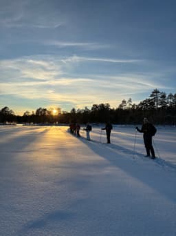 wolftrackingTour Sunday, 12 January 2025