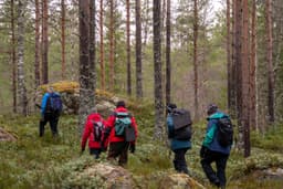 wolftrackingTour Saturday, 14 March 2026