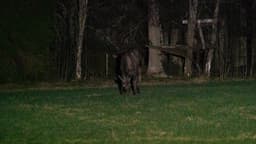 mooseSafari Saturday, 02 May 2026
